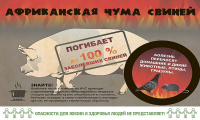 Перейти к новости Вниманию лиц, занимающихся разведением и содержанием свиней