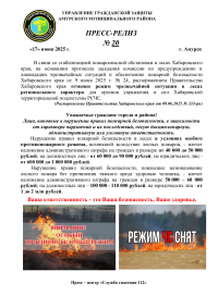 Отменен режим чрезвычайной ситуации в лесах регионального характера