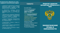Экологические права и обязанности